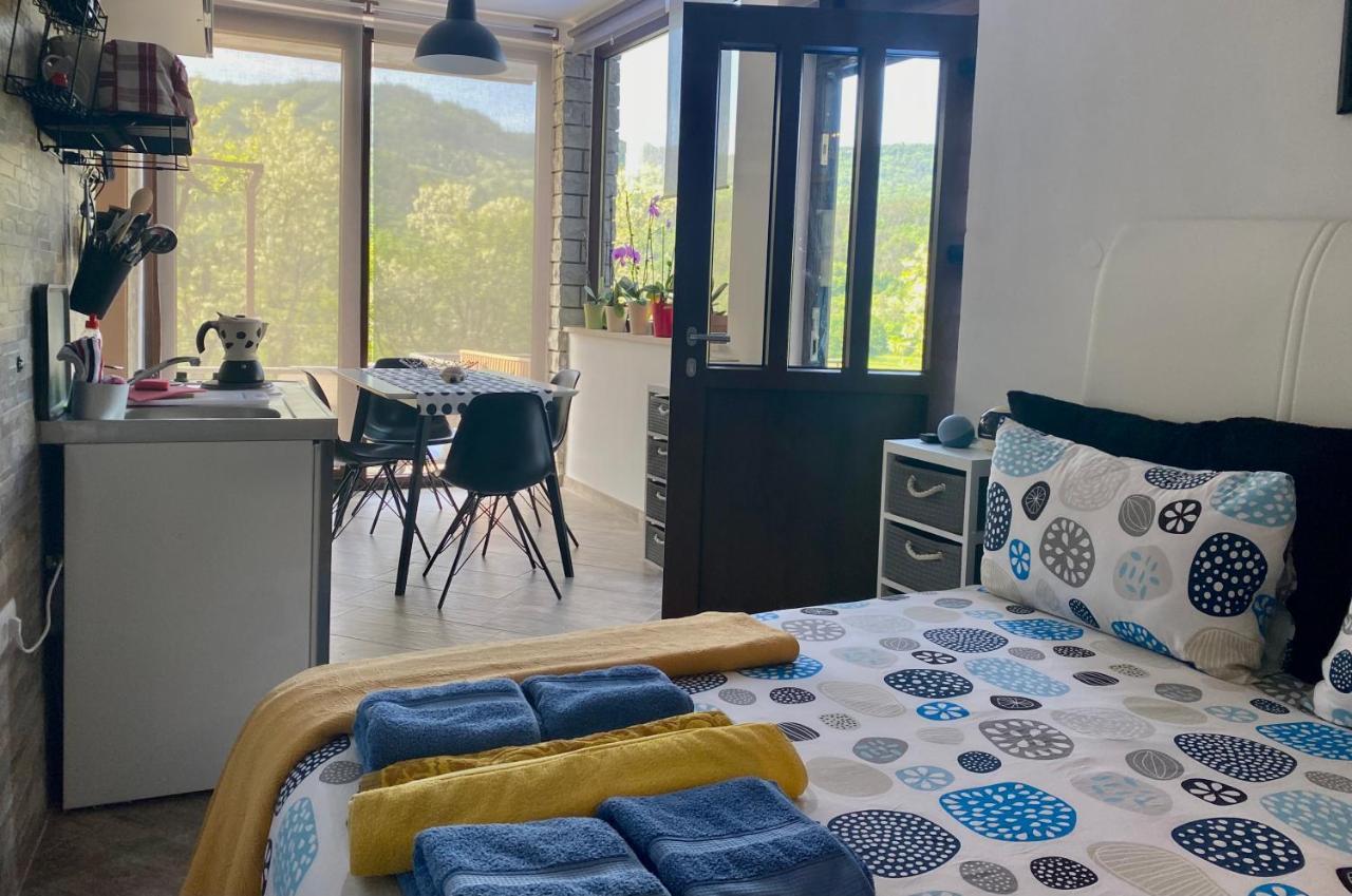 Apartman Verona Buzet Exteriér fotografie